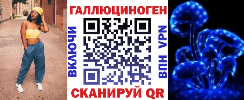 Галлюциногенные грибы Psilocybine cubensis  Апшеронск 