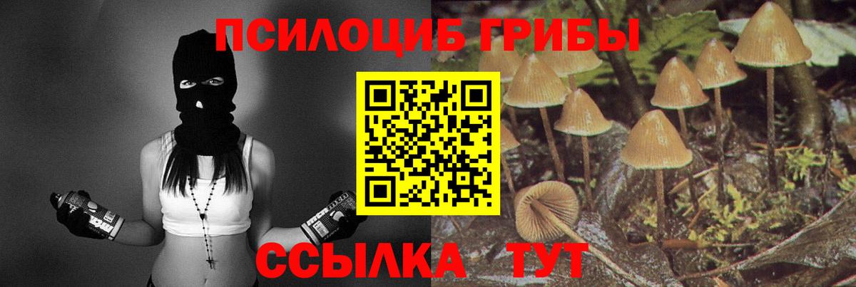 Псилоцибиновые грибы мицелий  Галлюциногенные грибы MAGIC MUSHROOMS  Апшеронск 