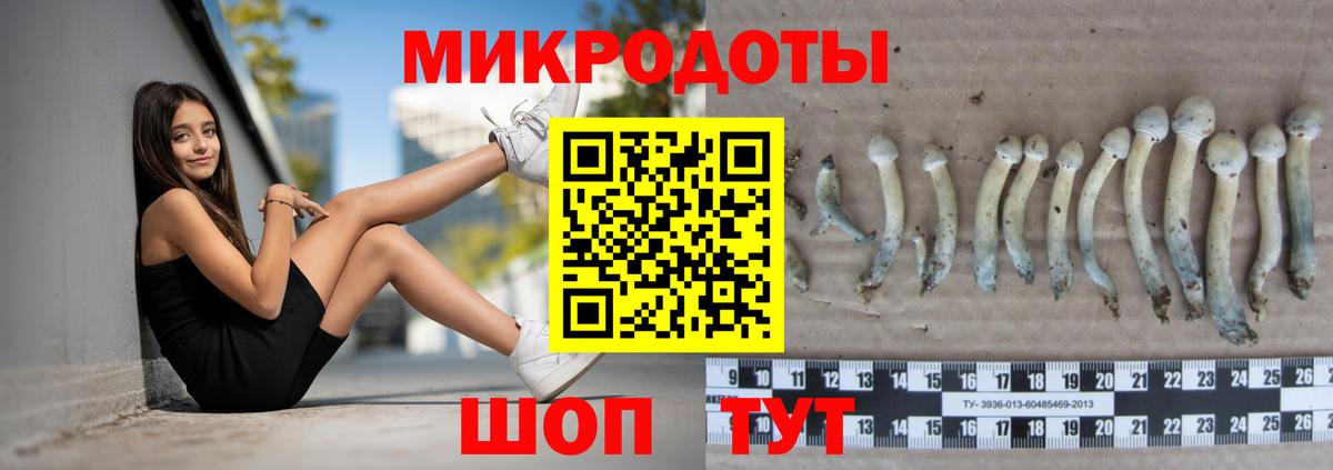 Галлюциногенные грибы Cubensis  Вход с VPN  как найти закладки  Апшеронск 